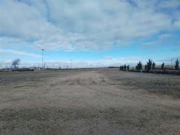 1   -  FINCAS RÚSTICAS EN CODORNIZ (SEGOVIA)