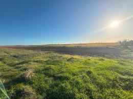 1   -  FINCA RÚSTICA EN ROTA (Cádiz)